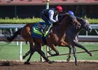 Abel Tasman works seven furlongs in 1:25 3/5 April 28 at Santa Anita