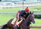 Classic Empire gallops April 27 at Churchill Downs.