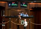 Hip 584, a colt by Medaglia d'Oro, is the current sale topper at $850,000