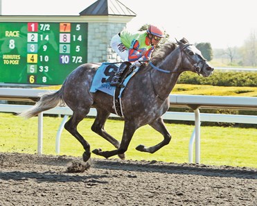 Frac Daddy wins the 2014 Ben Ali Stakes