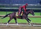 Classic Empire worked a half-mile in :49 1/5 under exercise rider Martin Rivera
