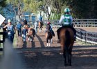 OBS Spring Sale Under Tack Show Begins April 17 OBS Spring Sale Under Tack Show Begins April 17