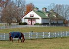 Calumet Farm