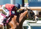 Evo Campo wins the 2017 Santa Barbara Stakes