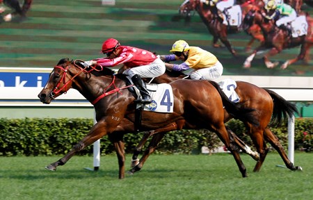 John Size-trained Mr Stunning (No 4), ridden by Joao Moreira, wins the G2 The Sprint Cup (1200m) at Sha Tin on April 9 2017