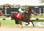 Late bloomer Action Everyday looks to move forward for Todd Pletcher