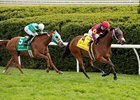 Itsinthepost wins the Elkhorn Stakes over Charming Kitten
