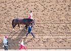 American Patriot after winning the Maker's 46 Mile at Keeneland