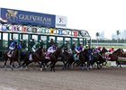 The Florida Derby, won last year by eventual Kentucky Derby winner Always Dreaming, will be one of the races featured in the six Saturday broadcasts