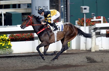 D B Pin wins the 2017 Chun Shek Handicap