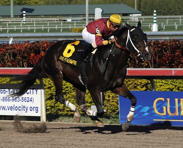 Big Drama captures the Mr. Prospector Stakes at Gulfstream Park.