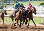 Battle of Midway Purchased by WinStar, Don Alberto Battle of Midway Purchased by WinStar, Don Alberto