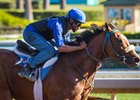 Gormley works under exercise rider Francisco Alvarado at Santa Anita Park