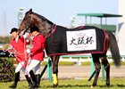 Japanese Horse of the Year Headlines Tenno Sho Japanese Horse of the Year Headlines Tenno Sho