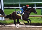 J Boys Echo working five furlongs
