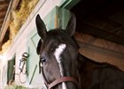Breeders' Cup contender Midnight Storm is tied as the all-time leader in stakes wins at Del Mar