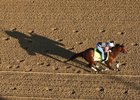 Practical Joke trains at Churchill ahead of the Kentucky Derby