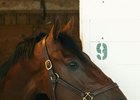 State of Honor at Churchill Downs April 21