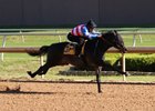 Hip 31, a Redding Colliery colt posted the fastest time of :10.1