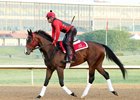 Weekend Stakes Rundown: Final Steps on the Derby Trail Weekend Stakes Rundown: Final Steps on the Derby Trail