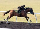 Hip 200, a Wildcat Heir colt, recorded the fastest quarter-mile time April 17
