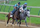 Fast and Accurate (inside) works with 4-year-old Adventist April 30 at Churchill Downs