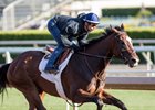 Paradise Woods works under jockey Flavien Prat
