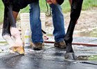 Girvin's right front foot during a bath at Keeneland April 24