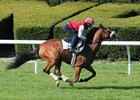 Time and Motion seeks to regain form in the Athenia