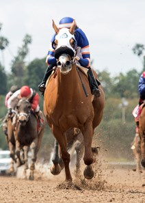 S Y Sky and jockey Joseph Talamo win the $200,000 Evening Jewel Stakes Saturday April 8, 2017