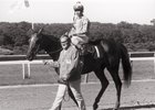 Nodouble's Arkansas Derby Paved His Way Nodouble's Arkansas Derby Paved His Way