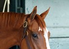 Catch A Glimpse at Keeneland April 13