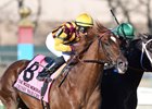 Irish War Cry in Good Order After Wood Irish War Cry in Good Order After Wood