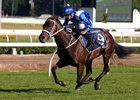Winx wins the 2017 Queen Elizabeth Stakes