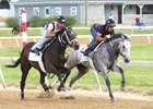 Fast and Accurate (inside) works five furlongs in :59 3/5 April 15 at Trackside Louisville