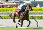 Sircat Sally Brings Undefeated Record to Senorita Sircat Sally Brings Undefeated Record to Senorita