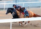 Whitmore (inside) trains at Oaklawn Park