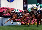 Neorealism holds narrowly to win the Audemars Piguet Queen Elizabeth II Cup