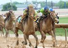 Imperative (outside) wins the 2017 Charles Town Classic