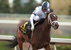 Addictive Aims to Regroup in Selene Addictive Aims to Regroup in Selene