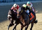 Green Gratto (inside) fights off Unified to win the Carter