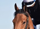 Lady Eli, Cloud Computing Among Workers for Brown