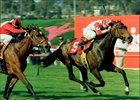 Fire the Groom wins the 1991 Wilshire Handicap at Hollywood Park