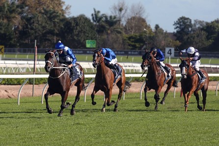 Winx wins the 2017 Queen Elizabeth Stakes