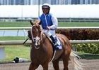 All Included Set to Take on Miami Mile Field All Included Set to Take on Miami Mile Field