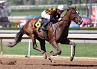 Paradise Woods Steps Up for Santa Anita Oaks Paradise Woods Steps Up for Santa Anita Oaks
