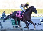 Irish War Cry powers to victory in the Wood Memorial