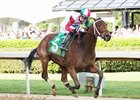 Inside Straight runs the biggest race of his life in the Oaklawn Handicap