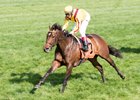 Lady Aurelia used the 2017 Giant's Causeway Stakes as a seasonal debut and will run again in the race at Keeneland