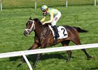 Appalachian Stakes winner La Coronel could take on males in the May 6 American Turf Stakes at Churchill Downs